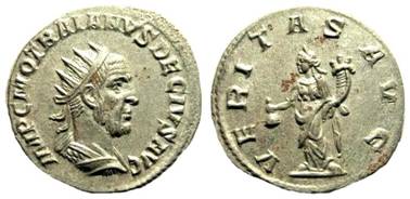 V2415.JPG